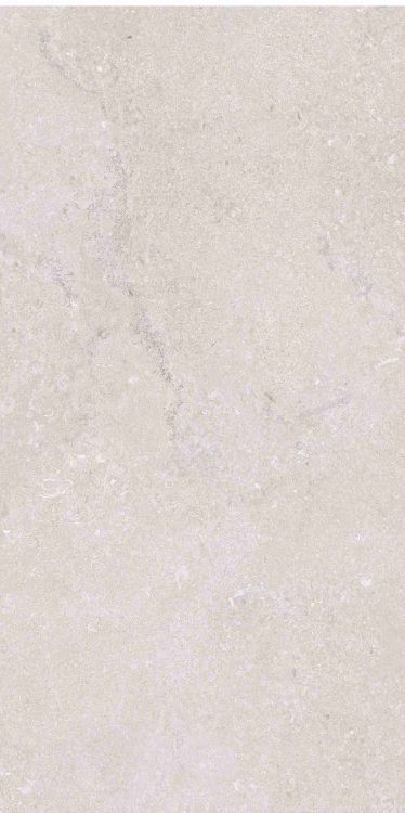 OL Port Land Stone Greige Matte 12 x 24
